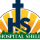 logo hospital shell